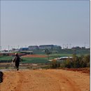 서해랑길21.22코스ㅡ 붉은색과 초록의조화 이미지