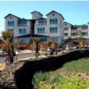 씨에코비치 이미지