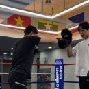 모던복싱클럽 향동 이미지