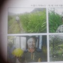 상임농원