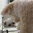 이마트24 R설문IC점 | 10월 하반기