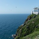 독도주차장 이미지