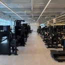 트레이너가 채식을 하게 된 이유 | [주안PT] 주안 PT로 다시 찾은 운동의 재미 - 이민영 트레이너 PT 후기