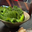 흑돈가제주본점 | 제주도 대표 흑돼지 전문점 ::참숯으로 조리하는 노형동맛집 흑돈가 제주본점 방문후기(주차,웨이팅)