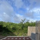 스테이레올 이미지