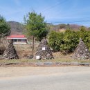 천탑마을 이미지