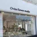 오비5길 이미지