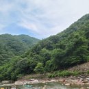 지리산정자나무펜션