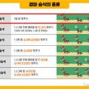 아마의 맹점 | 실전 경마 데이터 분석 2달간 진행 후기