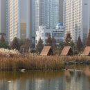 한강신도시호수공원 이미지