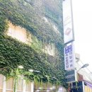 넝쿨다방 이미지