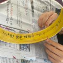 무장초 이미지