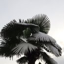 덕진초등학교 이미지