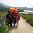 독립농장 이미지