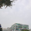 담소소사골순대당정점