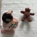 마이펫돌 | 땀 많은 아기 방수패드 추천, 밤부베베 마이펫 텐셀모달 쿨링 방수패드
