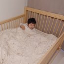 우주냉기산업 | 키즈침구 호무로필굿 컴포트웰 SS 풀세트 알러지케어이불로 예민한 아이 피부에도 OK