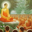 세광병원 이미지