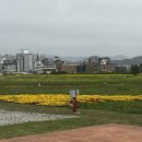 지에스25 순천풍덕동천점 이미지