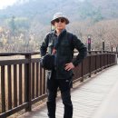 수영강 세월교 이미지