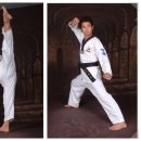 장안청룡태권도 이미지