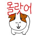 리락쿠마가 되려면 어떻게 해야해?