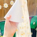 데이지 파티(Daisy Party)