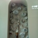 인싸피시 | 부산 해양 자연사 박물관 후기