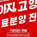 미유펫 강아지분양고양이분양 김포점 이미지