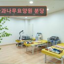 행복나무 요양원 | 경기도 요영원 요양센터 사과나무요양원 분당 행복한 요양 생활의 시작