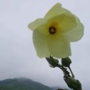 휴먼앤팜 이미지