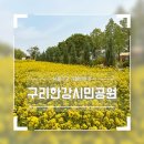 이마트24 구리토평점 | 서울 근교 나들이 유채꽃밭 구리한강시민공원