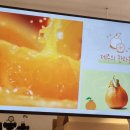 빽다방 석촌역점