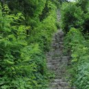 김해대학교 이미지