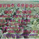 행구농장 이미지