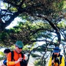 호화로이 이미지