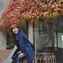 박은경7080 이미지
