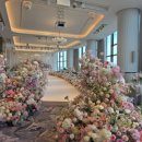 세인트41 이미지