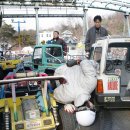 드림랜드 이미지