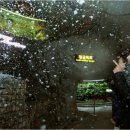 광명동굴 내 이미지