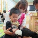 작은동물원 이미지