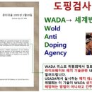 웰니스웨이브