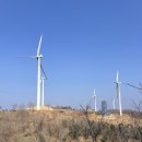 해맞이마트 | [후기]영덕 가성비 숙소 블로로드트레킹하우스: 영덕군 해맞이캠핑장