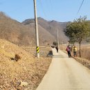 대청호코스 이미지