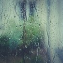 연세피부사랑의원 이미지