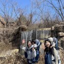 규하나비 | 23개월 아기랑 평일 에버랜드 워킹사파리 후기