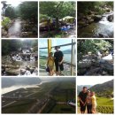 오도산 자연휴양림 이미지