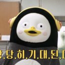 메밀촌막국수 이미지