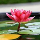 번영1로 이미지