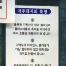 임꺽정참숯화로